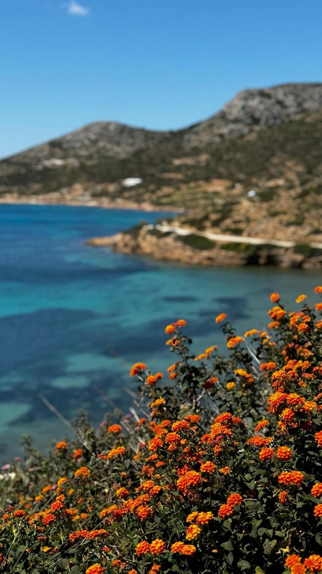 Lipsi Blue Hotel מראה חיצוני תמונה